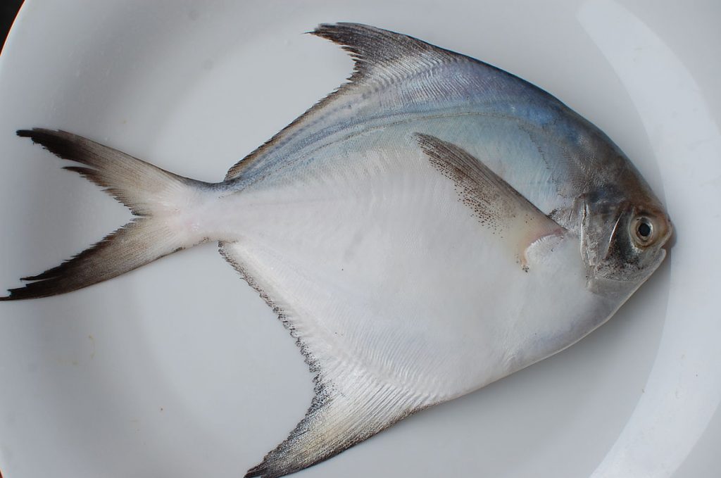 Gỏi Cá Chim Trắng Biển